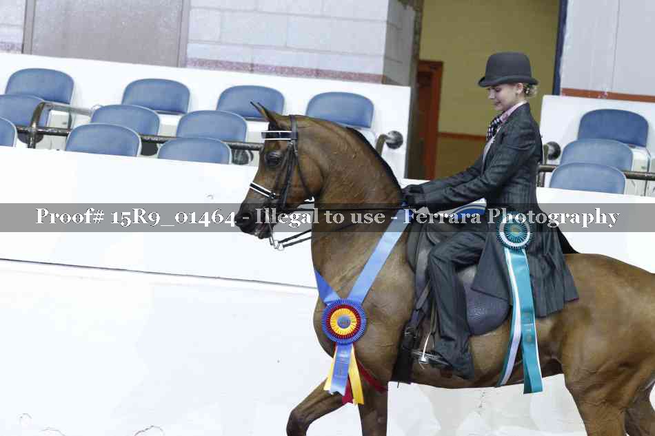 Proof 15R9_01464