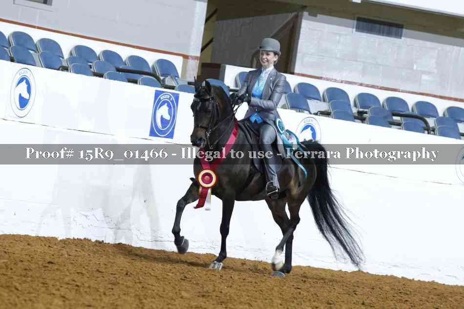 Proof 15R9_01466