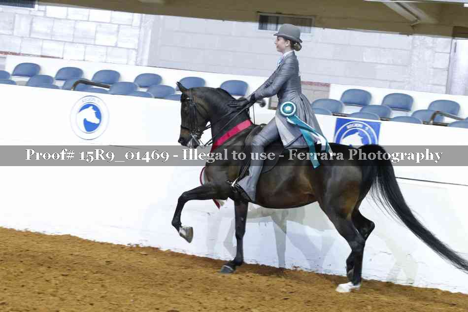 Proof 15R9_01469