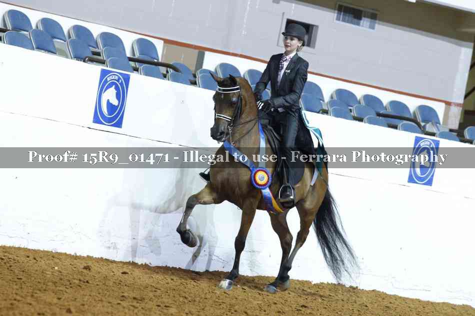 Proof 15R9_01471