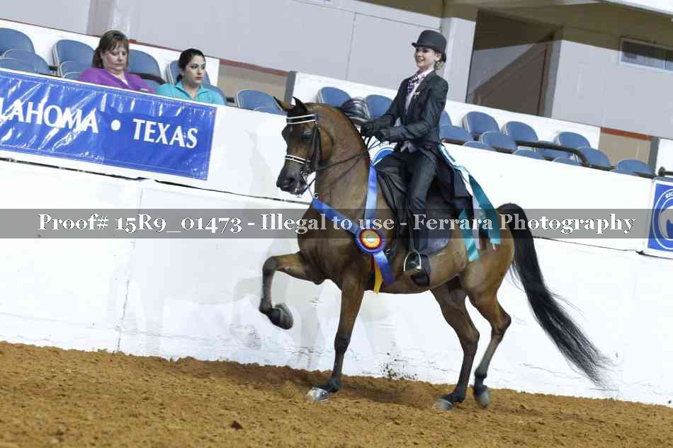 Proof 15R9_01473