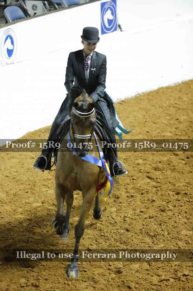 Proof 15R9_01475