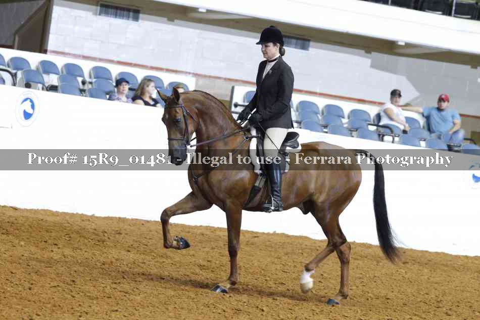 Proof 15R9_01481