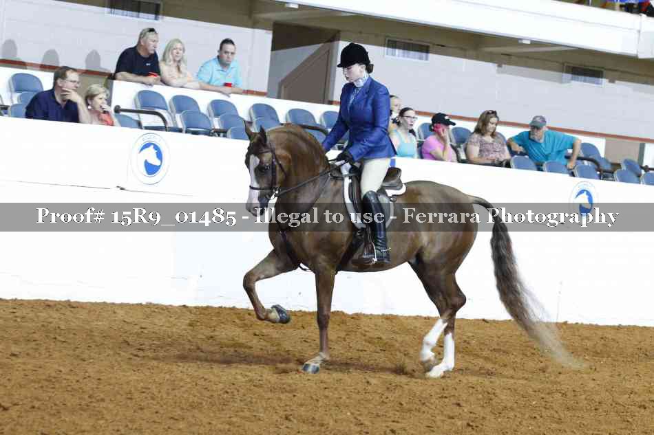 Proof 15R9_01485