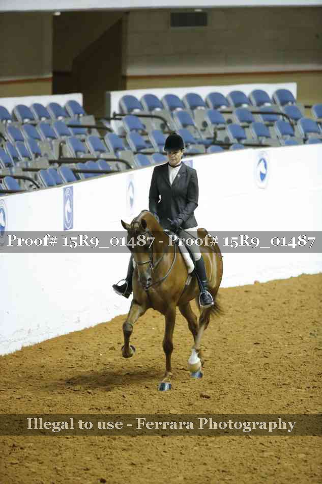 Proof 15R9_01487