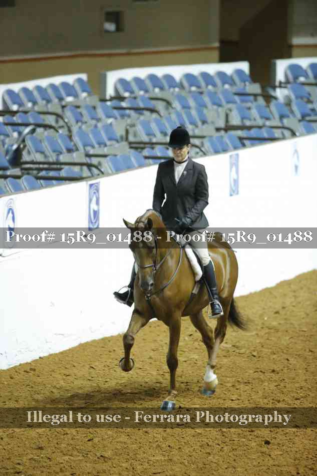 Proof 15R9_01488