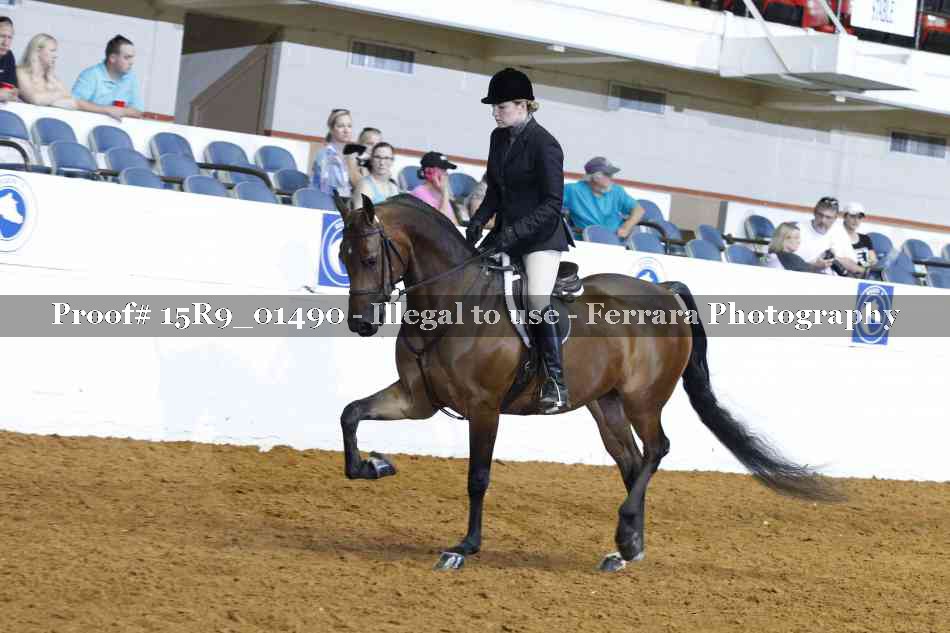 Proof 15R9_01490