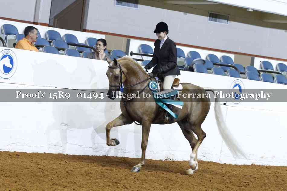 Proof 15R9_01494