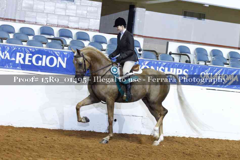 Proof 15R9_01495