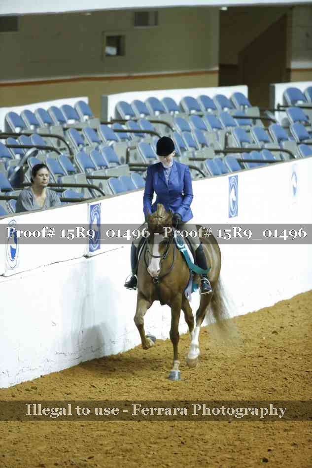 Proof 15R9_01496