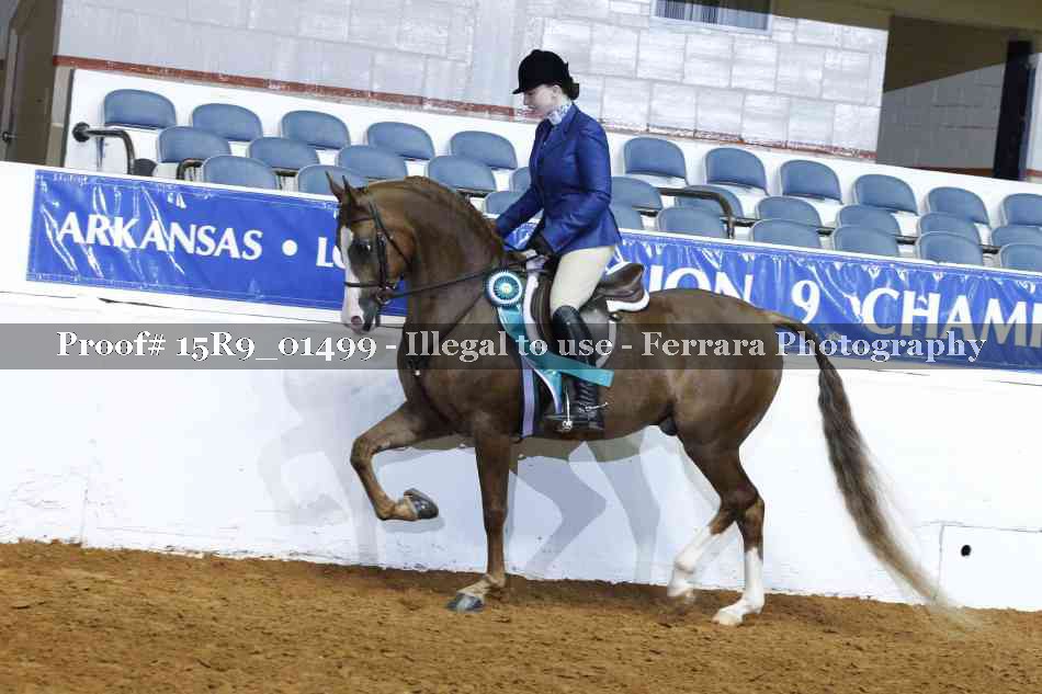 Proof 15R9_01499