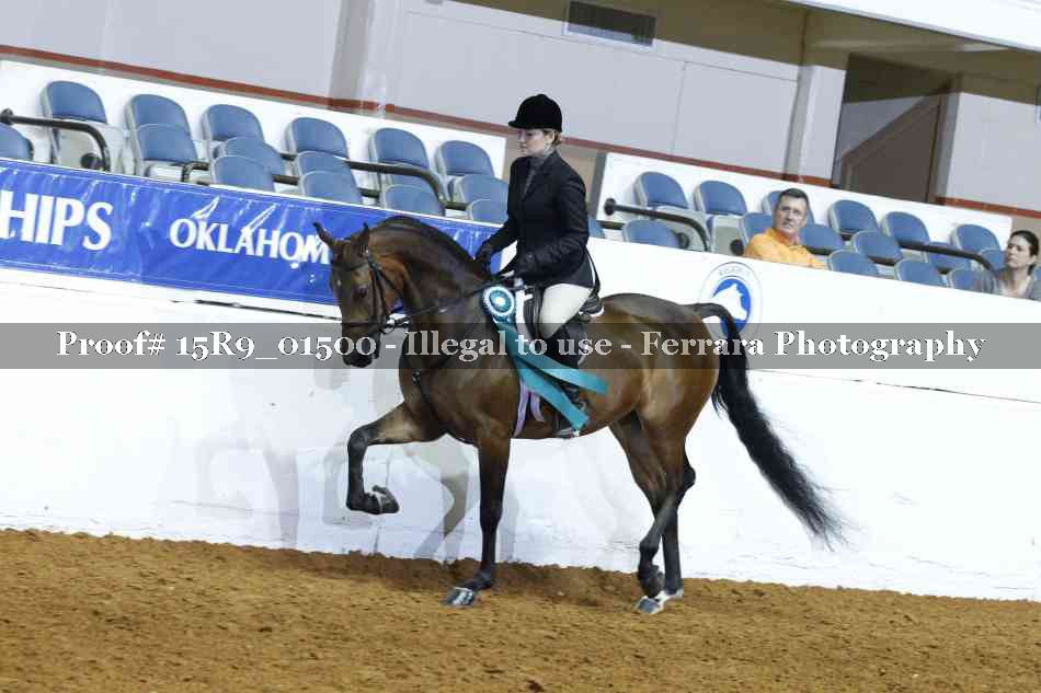 Proof 15R9_01500