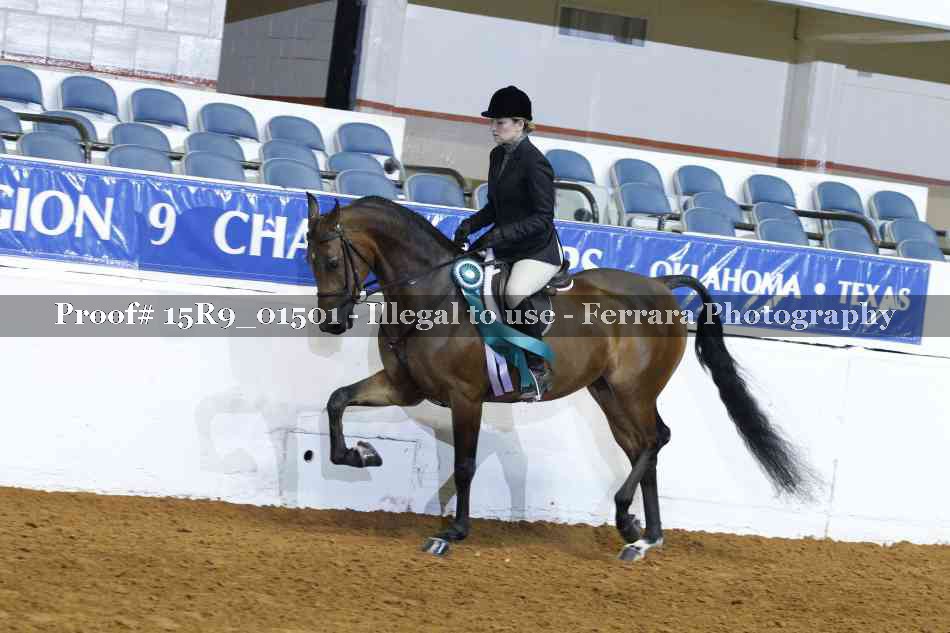 Proof 15R9_01501