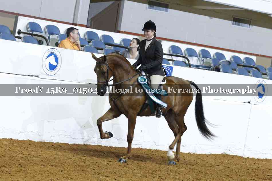 Proof 15R9_01504