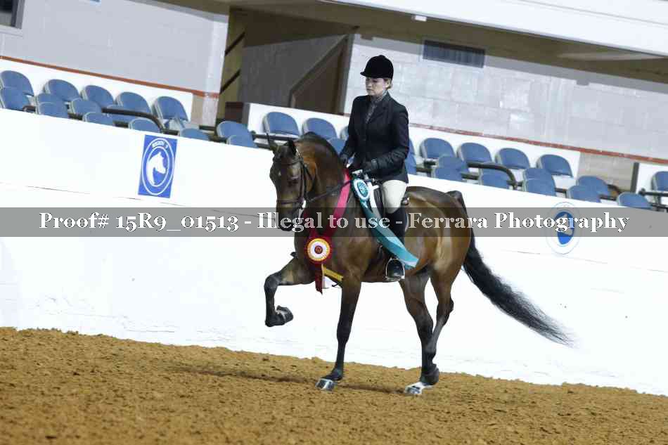 Proof 15R9_01513