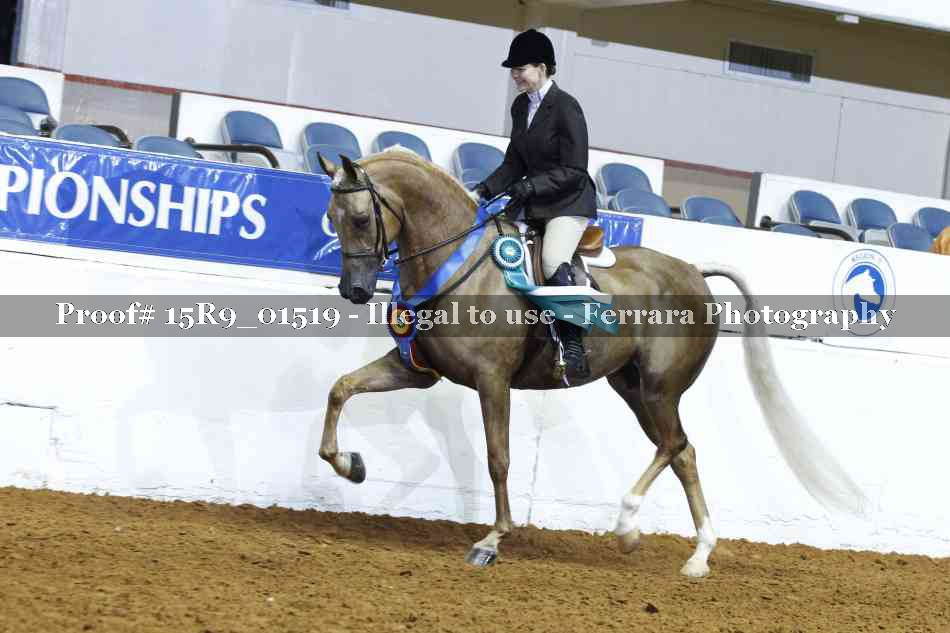 Proof 15R9_01519