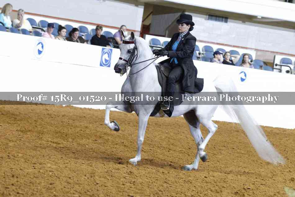 Proof 15R9_01520