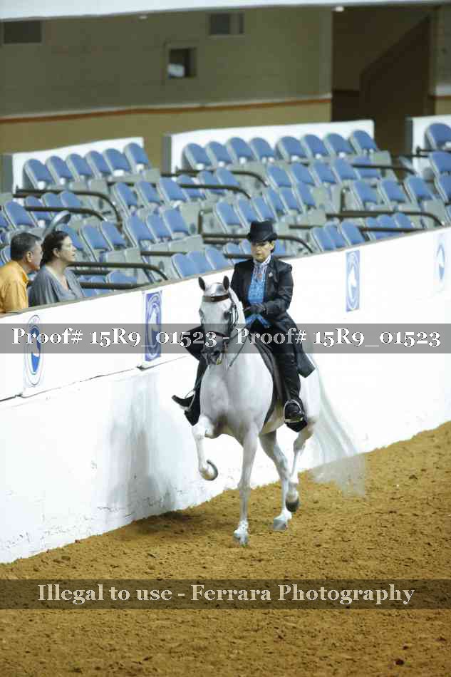 Proof 15R9_01523