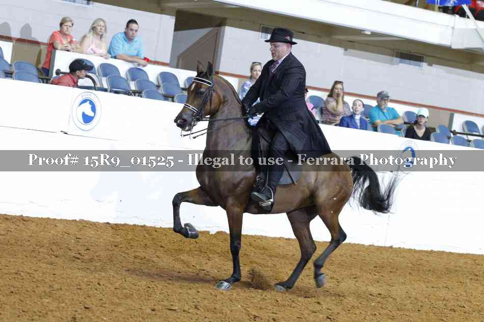 Proof 15R9_01525
