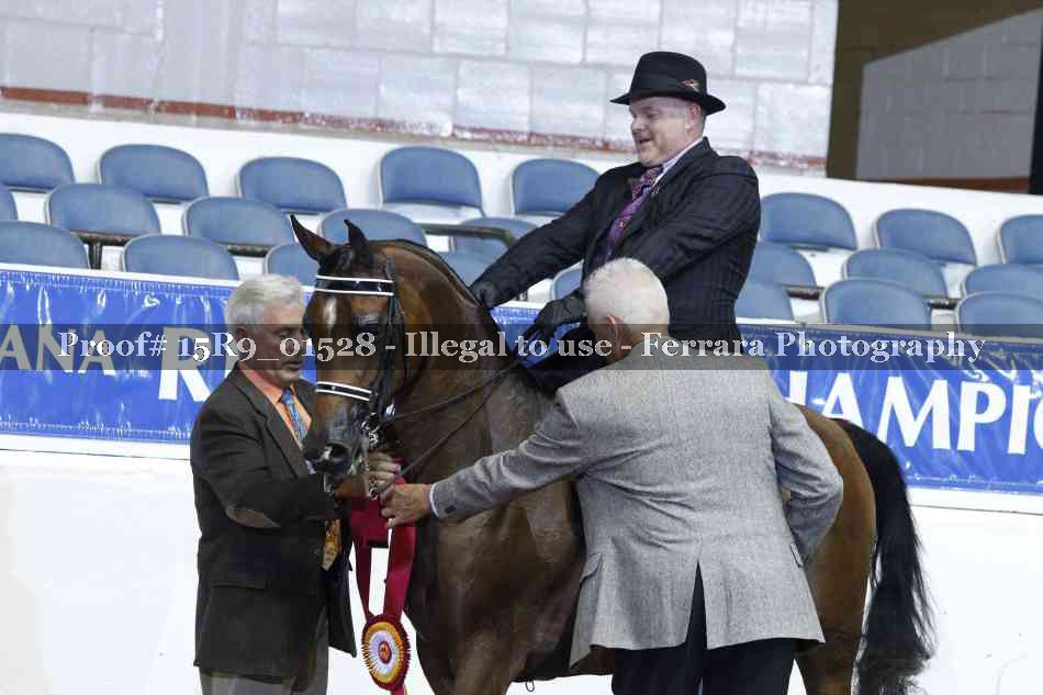 Proof 15R9_01528