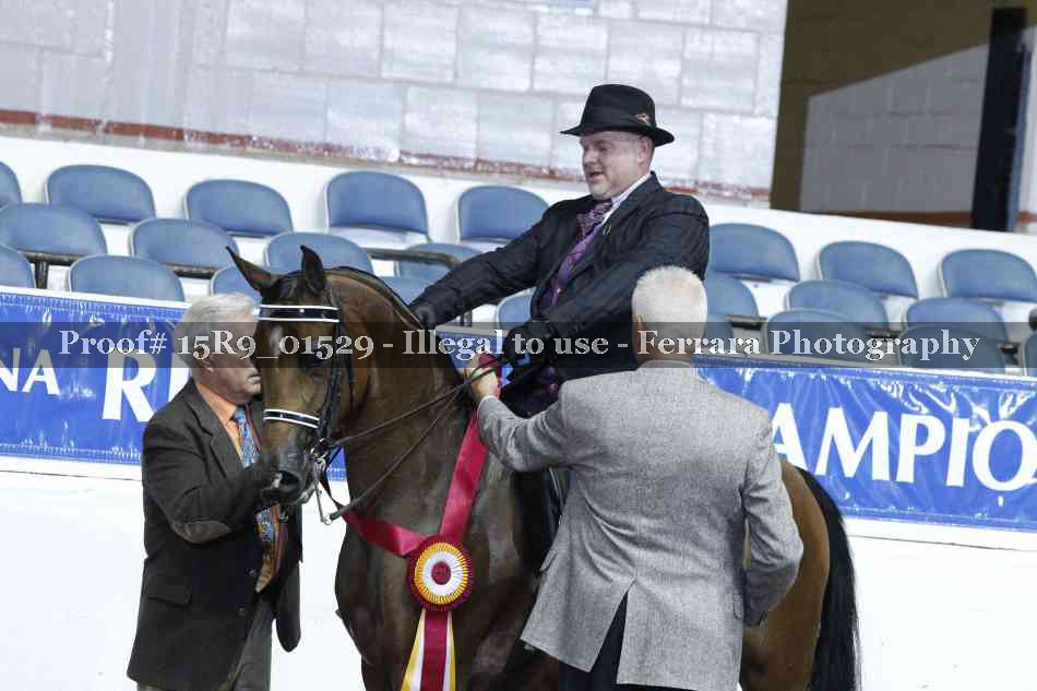 Proof 15R9_01529