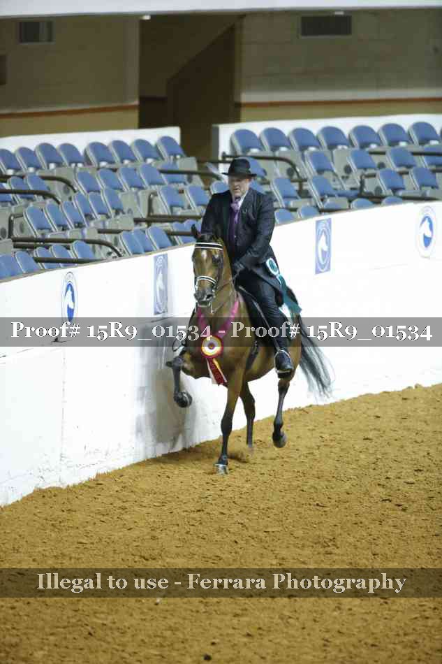 Proof 15R9_01534