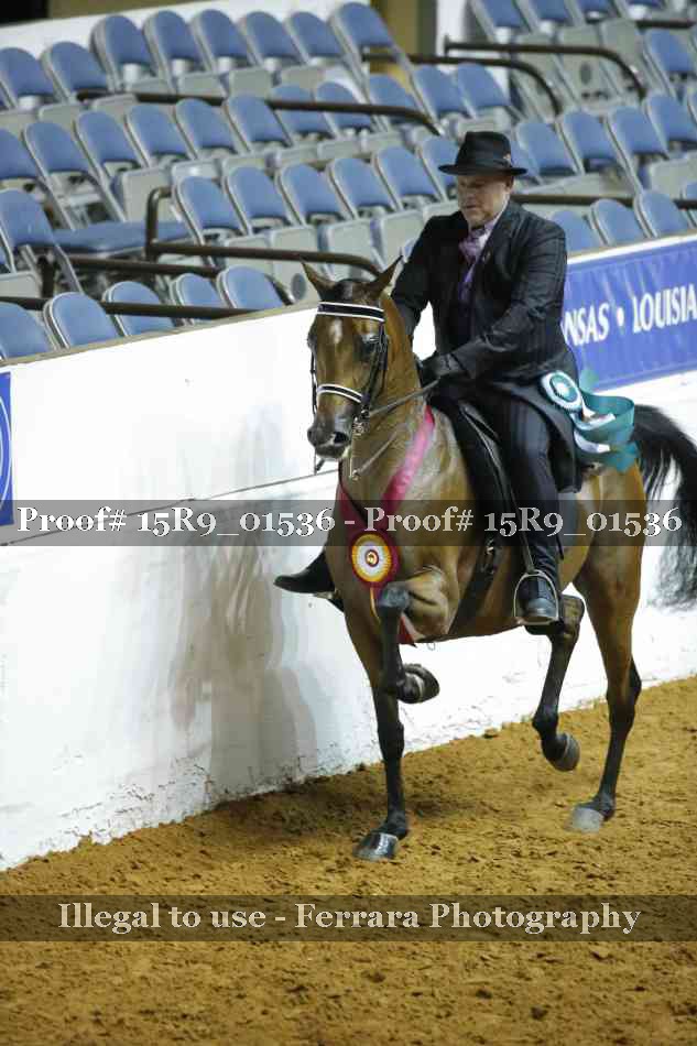Proof 15R9_01536