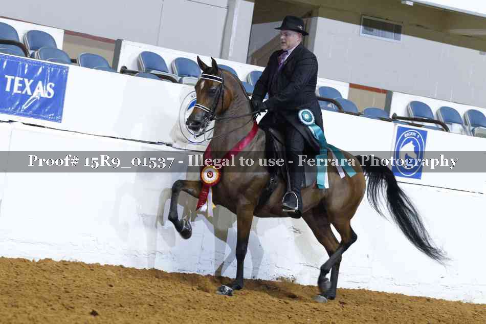Proof 15R9_01537