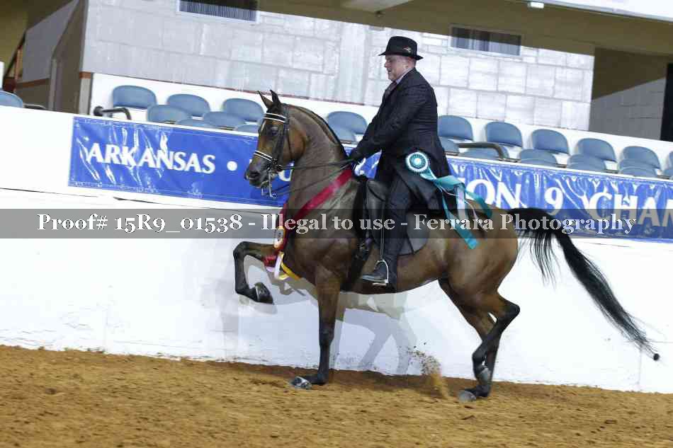 Proof 15R9_01538