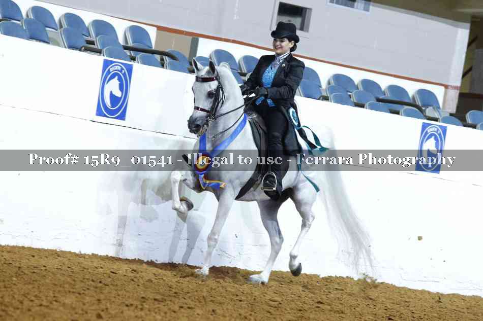 Proof 15R9_01541