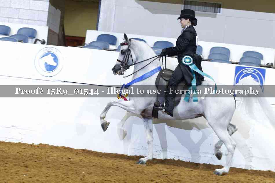 Proof 15R9_01544
