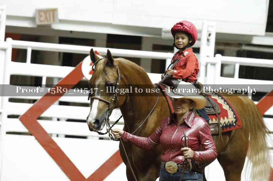 Proof 15R9_01547