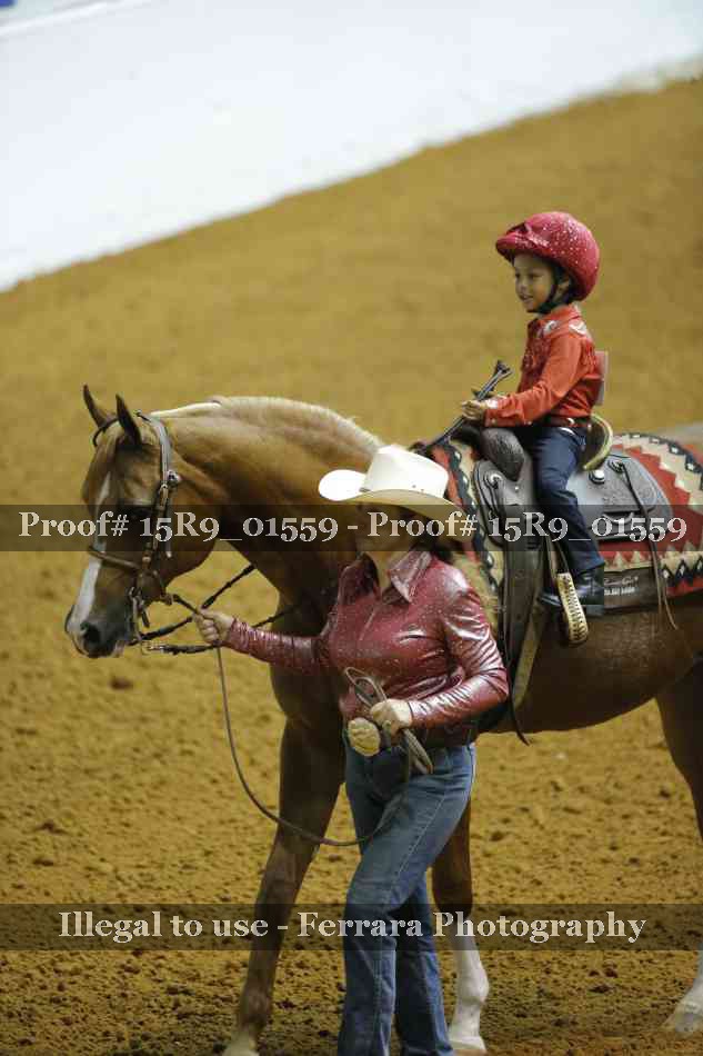 Proof 15R9_01559