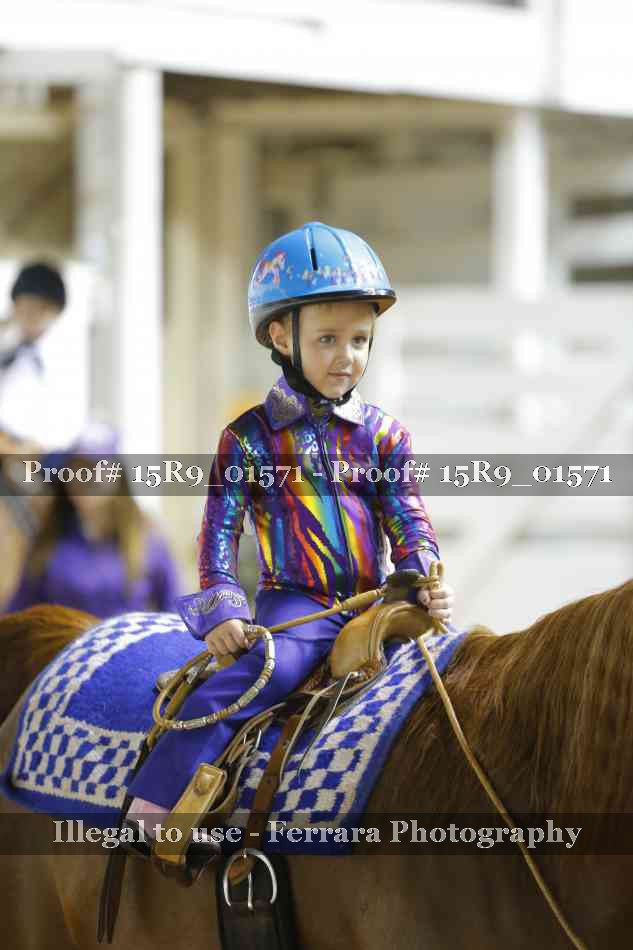 Proof 15R9_01571