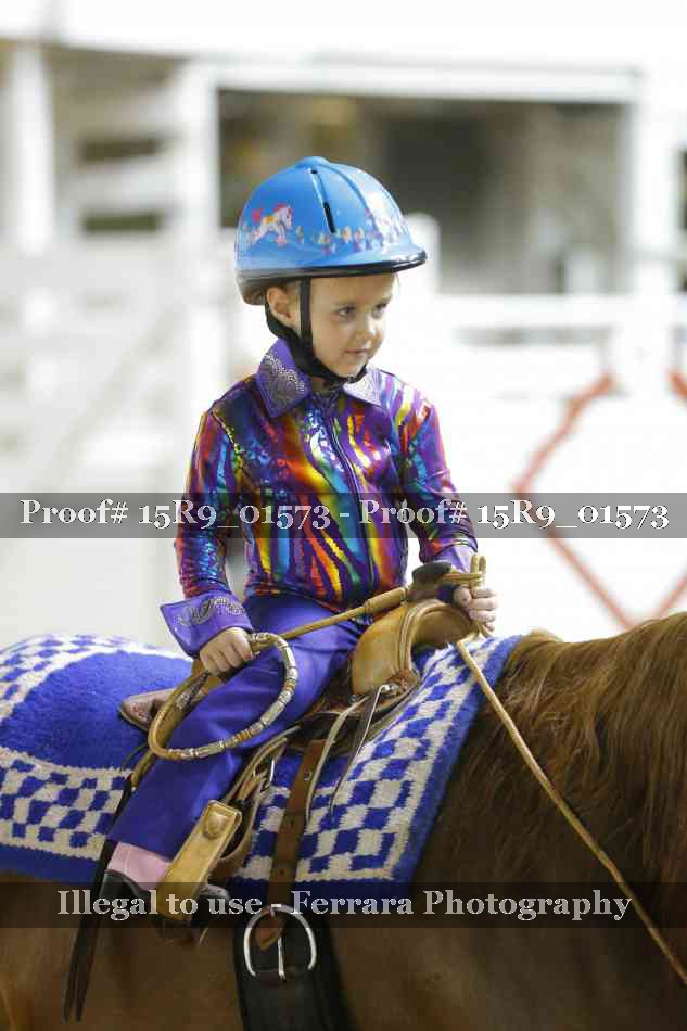 Proof 15R9_01573