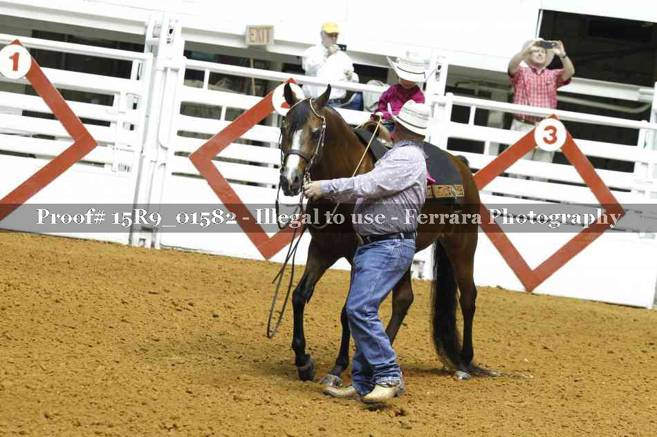 Proof 15R9_01582
