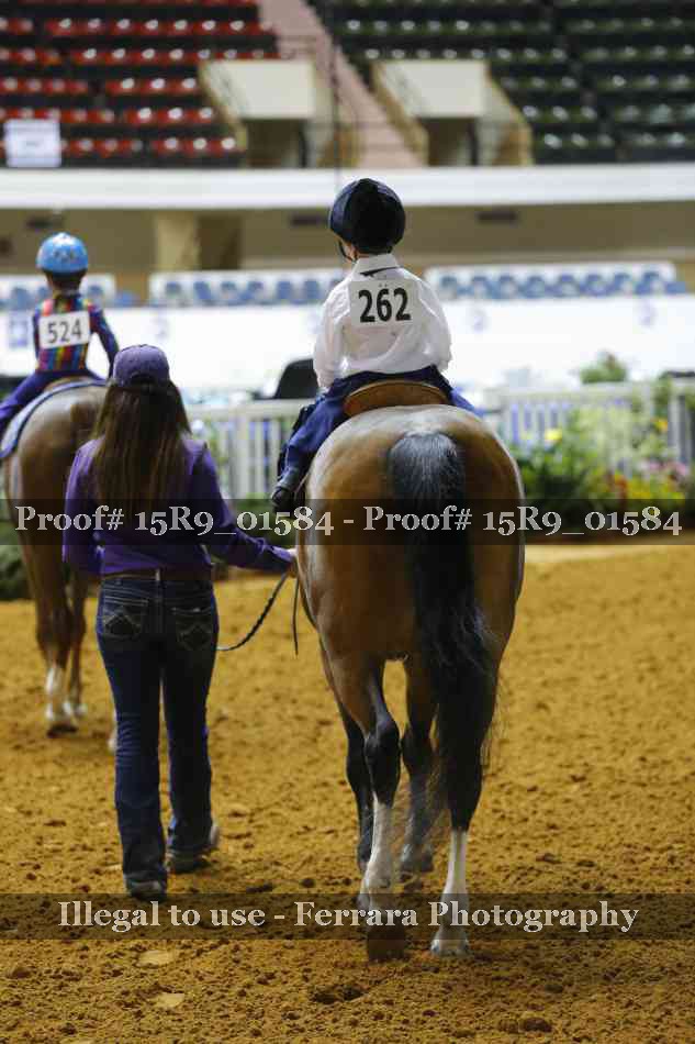 Proof 15R9_01584