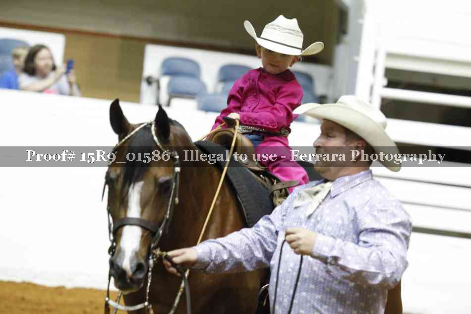Proof 15R9_01586