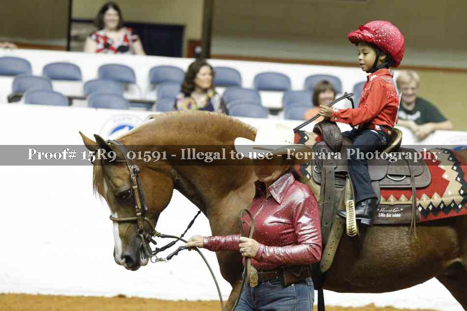 Proof 15R9_01591