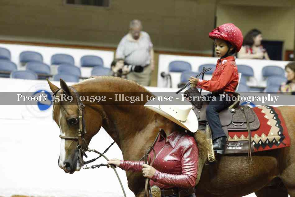 Proof 15R9_01592