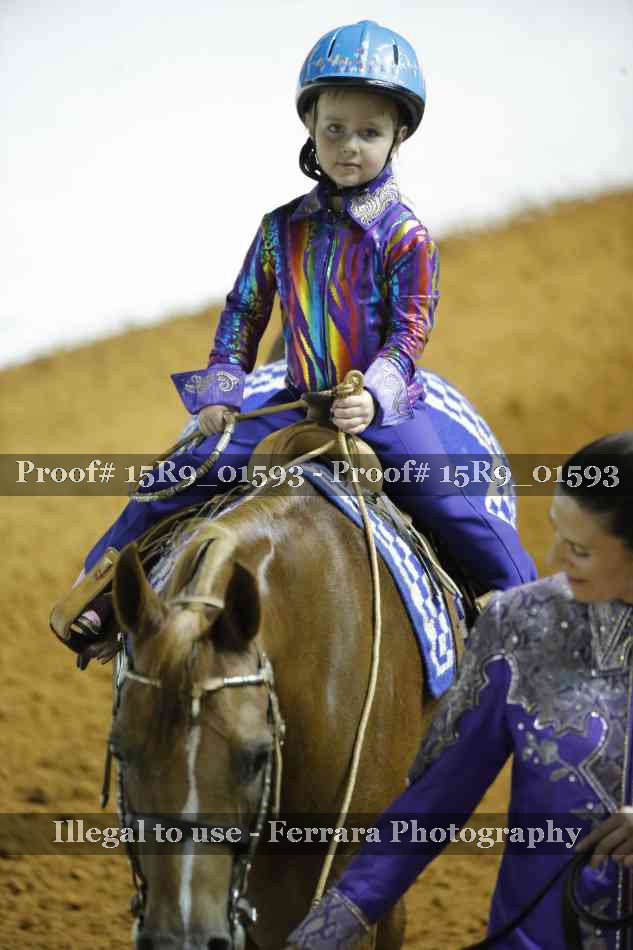 Proof 15R9_01593