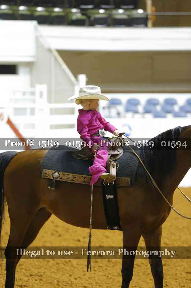 Proof 15R9_01594