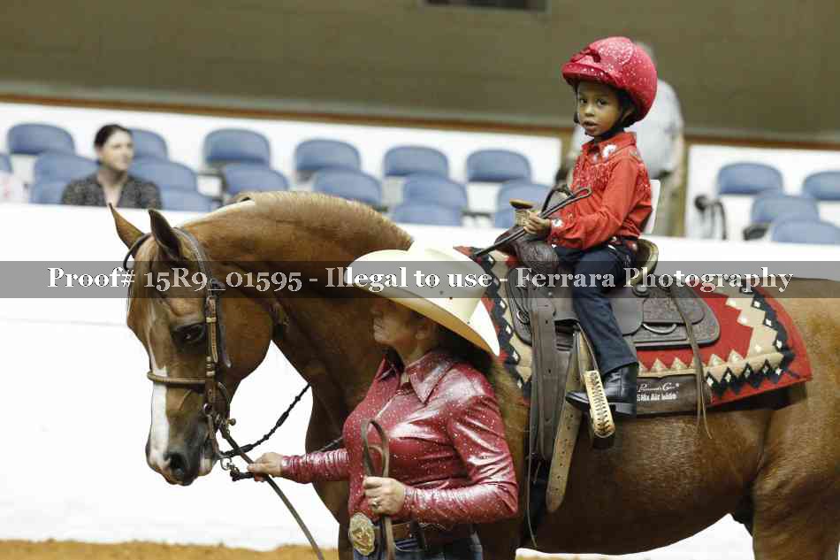 Proof 15R9_01595