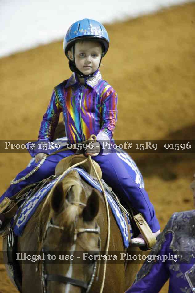 Proof 15R9_01596