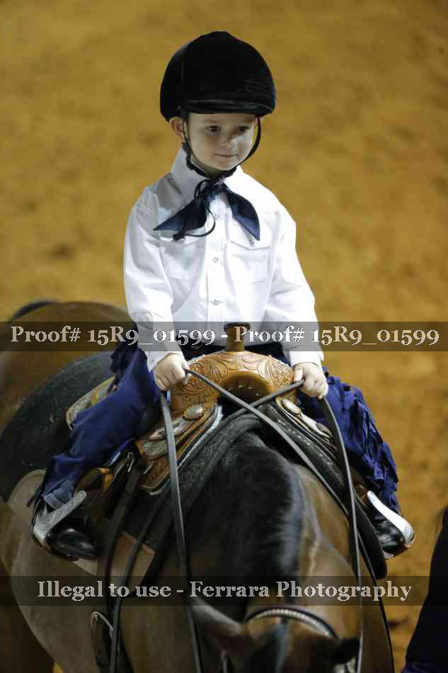 Proof 15R9_01599