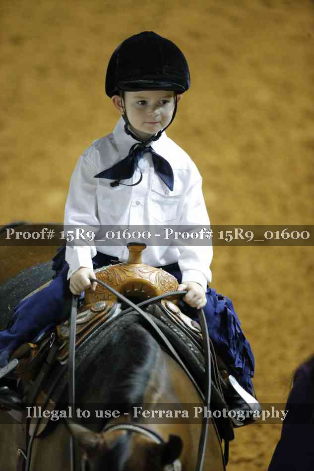 Proof 15R9_01600