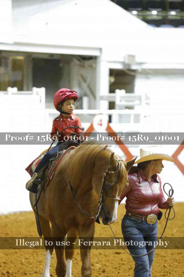 Proof 15R9_01601