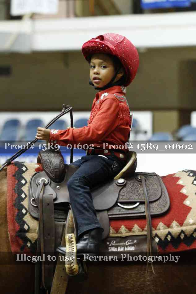 Proof 15R9_01602