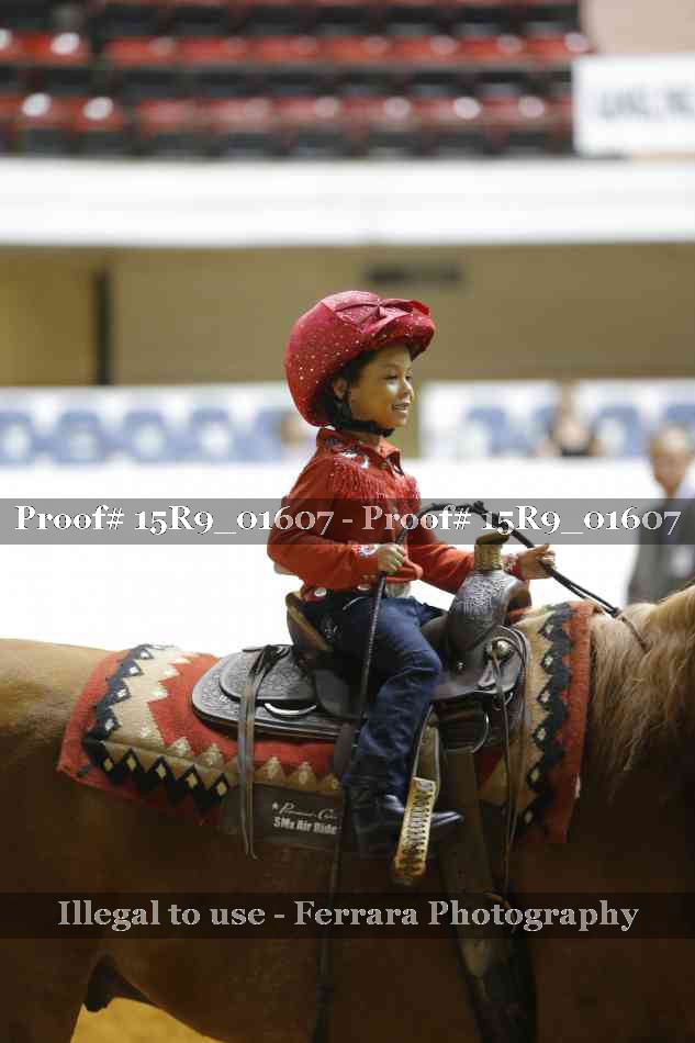Proof 15R9_01607