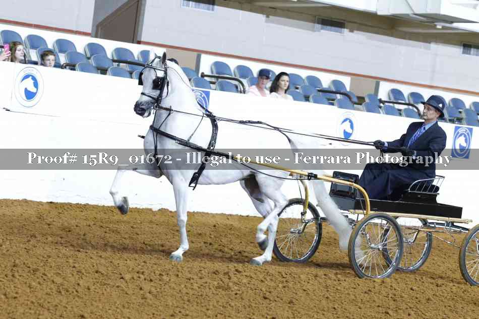Proof 15R9_01672